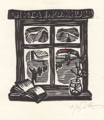 Книга Е. Рожкова