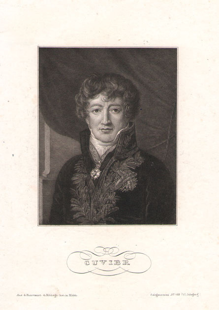 Cuvier