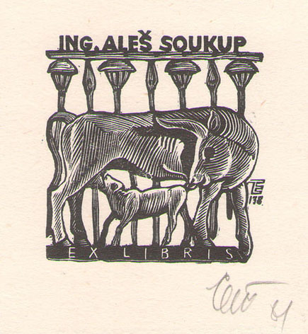 Exlibris Ing. Ales Soukup
