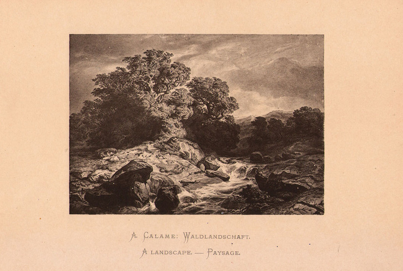 Waldlandschaft