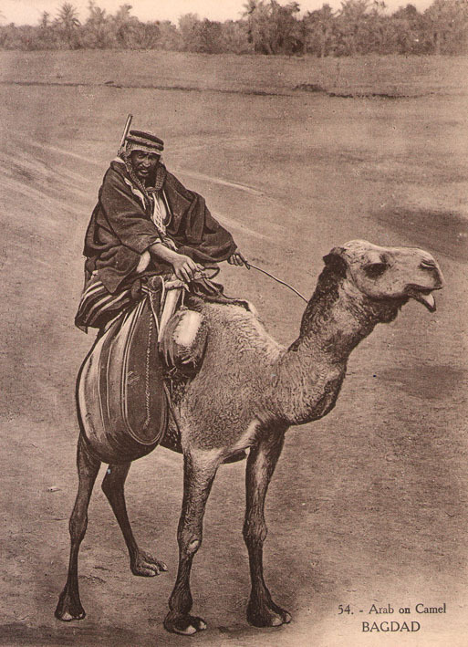 Arab on Camel. Bagdad