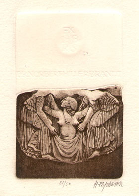 Exlibris Norbert Hillerbrandt
