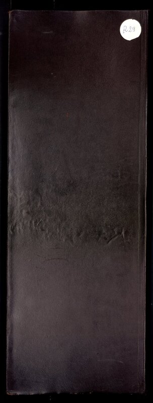 R 29