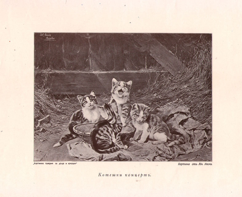 Котешки концерт