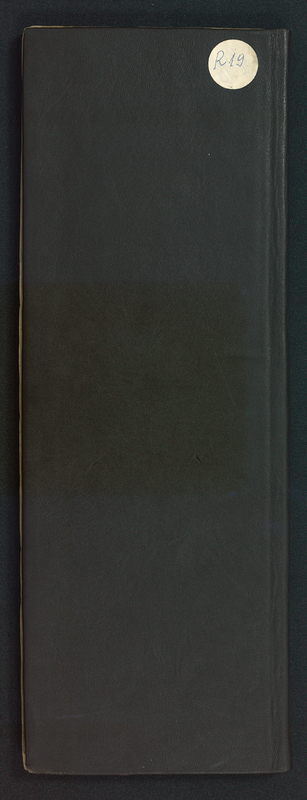 R 19