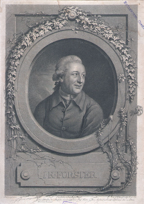 Johann Reinhold Forster